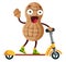 Peanut riding electric scooter, illustration, vector