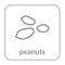 Peanut seed icon. Groundnut outline flat sign, isolated white background. Symbol health nutrition, eco food protein