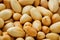 Peanut texture. food background of peanuts beans.