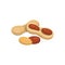 Peanut vector icon nuts in cartoon style. Nut food collection.