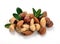 Peanuts, cashews, almonds, walnuts and hazelnuts