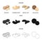Peanuts, cashews, brazil nuts, macadamia.Different kinds of nuts set collection icons in cartoon,black,outline style