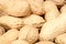 Peanuts. Whole real nuts background. Peanut macro close up. Full depth of field.