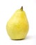 Pear Fruit