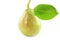 Pear fruit with leaves in pure white background