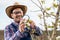 An pear grower checks the flowering of his pear trees in spring