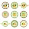 Pear labels. Fruits labels collection. Colorfull variant.Fresh vegetables vector concept.