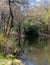 Pear Lake, fishing lake surrounded by trees in Stanmore, north west London. Trees are reflected in the calm water.