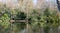 Pear Lake, fishing lake surrounded by trees in Stanmore, north west London. Trees are reflected in the calm water.