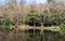Pear Lake, fishing lake surrounded by trees in Stanmore, north west London. Trees are reflected in the calm water.