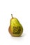 Pear with qr code