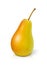 Pear. Ripe, juicy fruit. Eps10 vector illustration