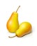 Pear. Ripe, juicy fruit. Eps10 vector illustration