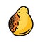pear rotten food color icon vector illustration