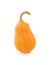 Pear-shaped orange ornamental pumpkin