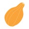 Pear shaped pumpkin in cartoon flat style.