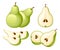 Pear and slices of pears. Vector illustration of pears. Vector illustration for decorative poster, emblem natural product, farmers