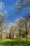 Pear trees in church garden