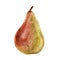 Pear on white isolated background. Watercolor illustration of sweet red-yellow Fruit. Drawing with clipping path for