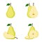 Pear, whole fruit, slice, vector illustration