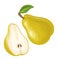 Pear whole and half with leaf. Vector color flat illustration