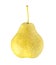 Pear whole single isolated on white background with clipping path