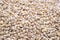 Pearl barley macro close up