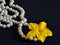 Pearl beads from white pearls on a dark background with a yellow cucumber flower. Jewelry and jewelry.