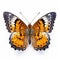 Pearl Crescent Butterfly: Stunning Time-lapse Photography Of An Orange Butterfly On White Background