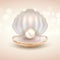 Pearl open shell realistic illustration. Natural beautiful single pearl sea jewelry