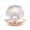 pearl shell pictures