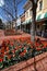 Pearl Street - Boulder, Colorado