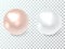 Pearls of light pink and pale blue. Vector illustration.