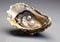 Pearls in oyster shell on white background.Macro.AI Generative