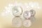 Pearls set isolated on background. Beautiful shiny natural pearls. Nacreous and iridescent. With transparent glares and