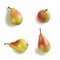 Pears Close-Up, Four Whole, Arranged  â€“ Bunch of Green Italian Cultivar `Pera Coscia` Pyrus Communis