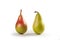 Pears Close-Up, Two Whole, Pair â€“ Italian Cultivar `Pera Coscia` Pyrus Communis