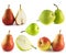 Pears collection on white background
