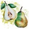Pears watercolor