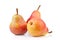 Pears on white background