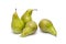 Pears on a white background. Composition of pears on a white background.