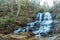 Pearsons Falls on Colt Creek