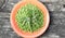 Peas in a coral bowl with fresh cut plant leaf on top on wooden rustic textured background