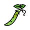 peas green color icon vector illustration