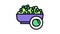 peas groat color icon animation