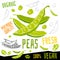 Peas icon label fresh organic vegetable, vegetables nuts herbs spice condiment color graphic design vegan food.