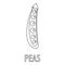 Peas icon, outline style.