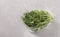 Peas microgreen is located in a plastic container on a gray background, Closeup, Space for text