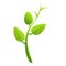Peas plant icon, cartoon style
