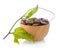Peas star Incas in wood bowl on white background